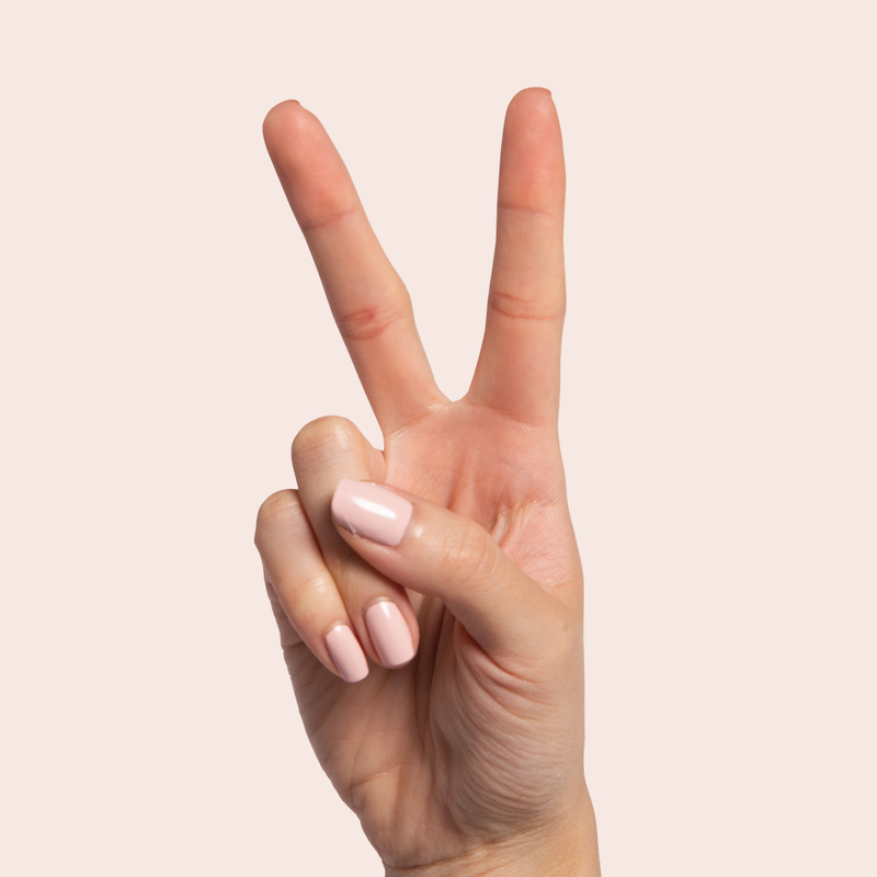 Pointe a Creme Pinks  Pointe