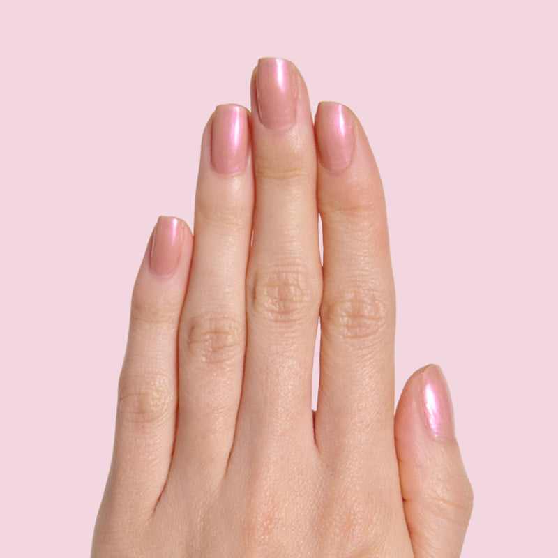 Sandy Scallop a Iridescent Neutrals  Sandy Scallop