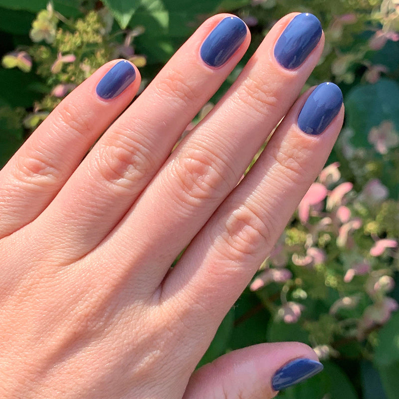 picture of Social Studies