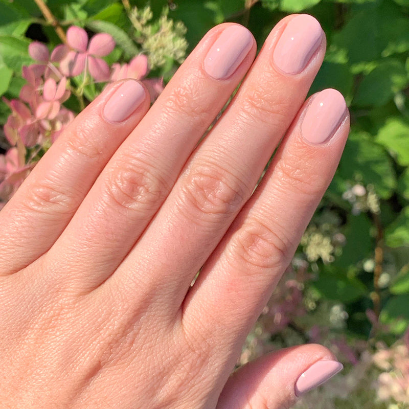 picture of Study Hall