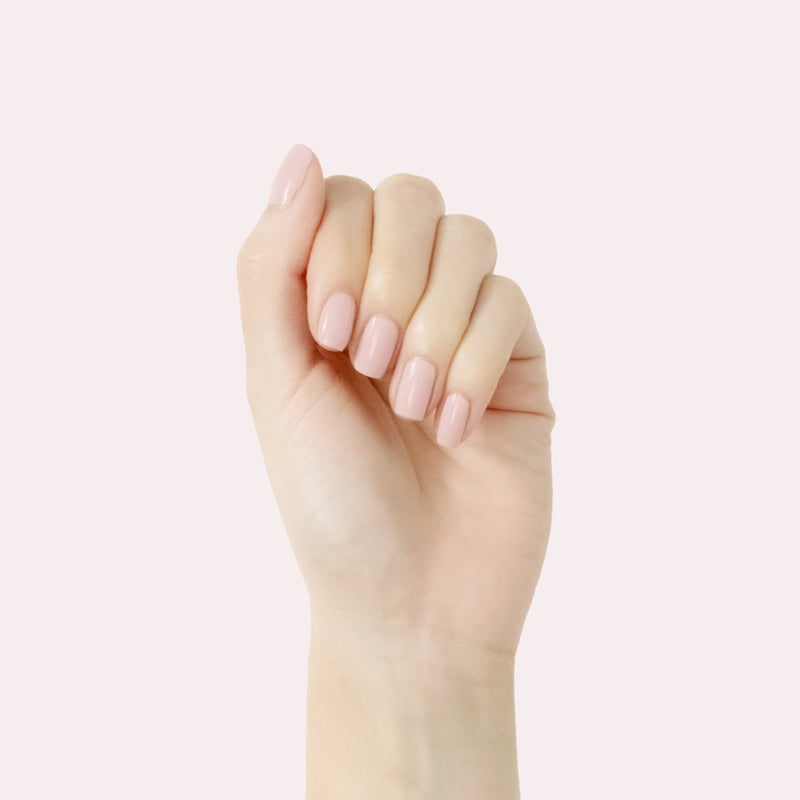 Study Hall a Creme Pinks  Study Hall